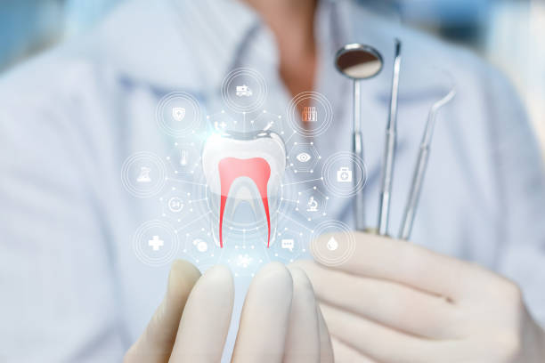 Trusted Assumption, IL  Holistic Dental Services Experts